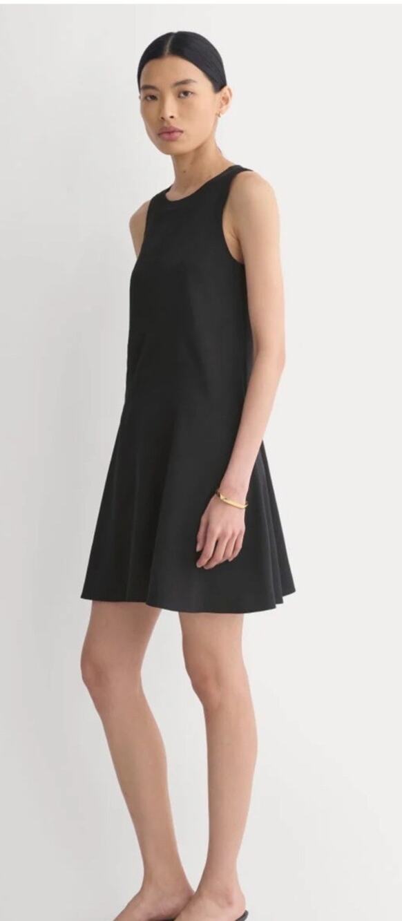 Everlane Black Sleeveless Mini A-Line Dress Size L Office Wear LBD Basic Staple